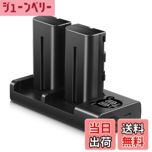 �y���������zENEGON Sony NP-F550/NP-F570�݊��o�b�e���[�i2�j2900mAh+USB�[�d�� �Ή�NP-F530/ NP-F550 /NP-F570/ NP-F330/ CCD-RV100/ RV200/ TR1 /TR940 /TR917 /CN-160 /CN-216 /CN-304 /YN 300 /V607u /V617u
