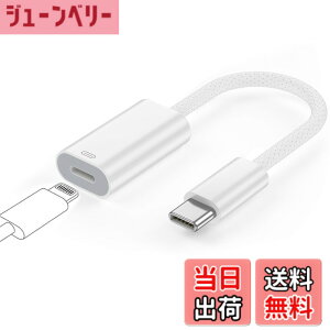 �y���������z�y2024�V�o��z[ALLVD] Type C to ���C�g�j���O �ϊ� �A�_�v�^ USB C �ϊ� �A�_�v�^ 27W PD�}���[�d �����f�[�^�]�� 2in1 �ϊ� �A�_�v�^ Phone 15�V���[�Y/i-Pad mini6/Air 4 5/MacBook/Xperia�Ȃǂ̋@��