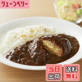 【送料無料】無印良品 素材を生かした ハンバーグのデミグラスソースカレー ・220g（1人前） 12478287