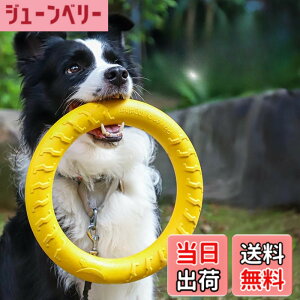 �y���������zJOYOUTH ���p�������� ��v ������ ���ނ������� �O�a19CM 29CM ���� ���^�� ��^�� �ϋv�� �t�B�b�g�l�X�����O �y�b�g �X�g���X���� ���V�P�� �m�\�P�� ���ݎ~�� �e�f�B���f���^��