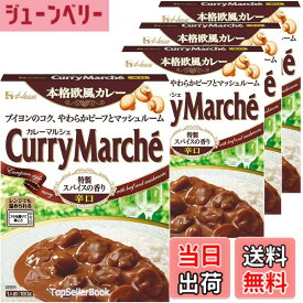 【送料無料】カレーマルシェ 辛口 4個セット(180gx4個) ハウス食品 おまけ付 家庭料理 本格派 スパイス 手作り 濃厚 やみつき レトルト 旨辛 簡単調理 非常食