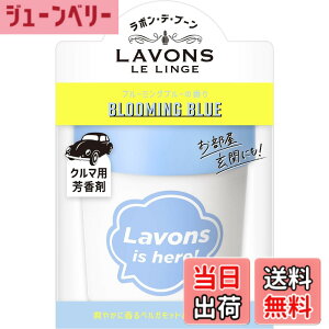�y���������z���{��(Lavons) �E�f�E�u�[�� [�ԗp �F����] �Q���^�C�v �u���[�~���O�u���[ ���L �|�b�h ���X�N�̍��� �I�t�z���C�g 110g