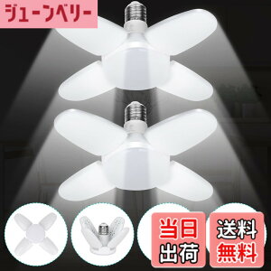�y���������zJornarshar ���~�j LED���C�g �K���[�W���C�g 45W 2�� ���� ������LED�d�� 6500K �V��Ɩ� ��t�ȒP �H���s�v �p�x���߉\ �J�[�|�[�g �Ԍ� �q�� �[�� ��Ɠ� �����F
