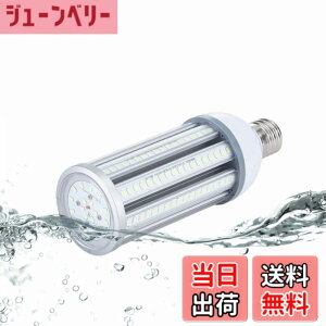 �y���������zFWAYTECH LED�R�[���^�d�� �h�� E26 E39�������Ή� 54W 6800LM�ȏ� �����F����6000K LED�X�� �R�[�������v 400W-450W���ⓔ/���⃉���v���� IP65�h���h�o 1�Z�b�g (�����F����, 54W E26����)