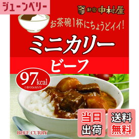 【送料無料】新宿中村屋 ミニカリービーフ 100g x10袋