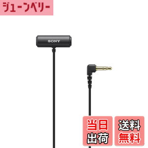 �y���������zSONY(�\�j�[) �J�����p�}�C�N ���x���A�}�C�N���z�� ECM-LV1