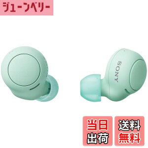 �y���������z�\�j�[(SONY) ���S���C�����X�C���z�� WF-C500 : /�y�ʏ��^5.4g/�����x�ʘb�i��/�ȒP�y�A�����O/IPX4�h�H���\/�A�C�X�O���[�� WF-C500 GZ