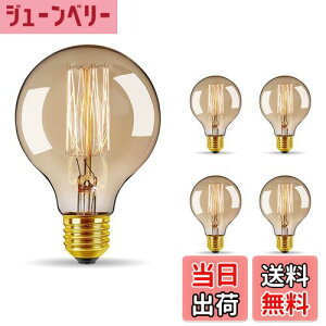 yzBravelight GW\d 60W E26/E27 yG95z {[d J[{d(LEDd) gF  GW\ou gd AeB[NƖ d ԐڏƖ d ͋Cd