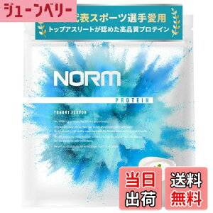 yzNORM m[ zGC veC lHÖsgp [Og 1kg 100ȏ̃gbvAX[gp WPC WHEY PROTEIN zGCveC 