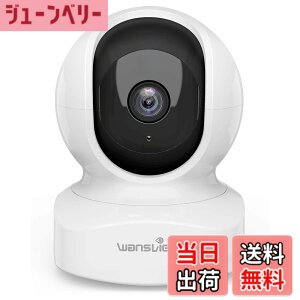 �y���������zWansview Q5�l�b�g���[�N�J�����y����z300����f 2K�x�C�r�[���j�^�[�����p �x�r�[�V�l�y�b�g�����J����