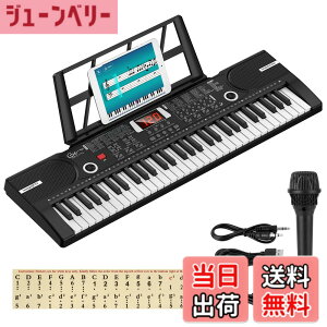 �y���������zHricane �L�[�{�[�h �s�A�m �d�q�s�A�m 61���� 200��މ��F 200��ރ��Y�� 60�ȃf���� LCD�f�B�X�v���C���� ���錮�� �y�� ���{��p�l�� �w�b�h�t�H���Ή� �q�� ���S�� ���K�p USB�P�[