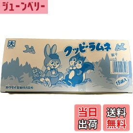 【送料無料】カクダイ製菓 クッピーラムネ 20gx15袋