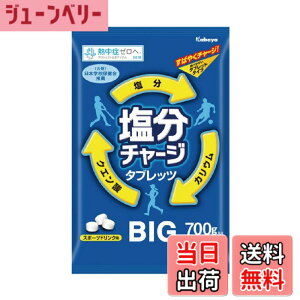 �y���������z���a���� N18-26 �����`���[�W�^�u���b�cBIG 700g
