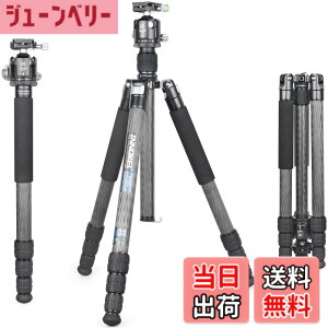 �y���������zINNOREL RT85C �J�[�{�� �O�r �{�[���_�� �L�b�g 184CM �g���x���O�r �v���� �i�b�g���b�N�� �G���x�[�^�[�� �ω׏d 25KG �l�i�r ��r�ώ� �p�C�v�a32mm ���y�� �^���� �o�R ��O �쒹 