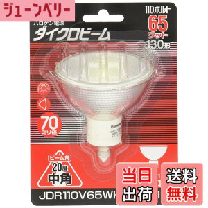 �y���������z�p�i�\�j�b�N �n���Q�������v �_�C�N���r�[�� 110V 65W�` E11���� ���p JDR110V65WKM7E11X