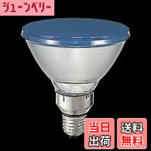 �y���������z�y���Łz �J���[�r�[�������v(��)100W�` E26���� �U���` BRF110V80WY