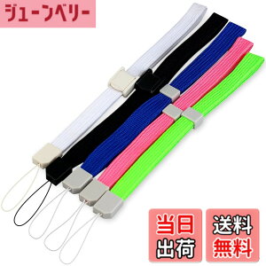 �y���������zOSTENT ���X�g�X�g���b�v Nintendo Wii �����[�g �R���g���[�� DSi/DS ���C�g/3ds/PSP/DV �R���\�[�� �Ή� 5�� �p�b�N