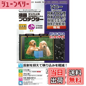 �y���������zKenko �t���ی�t�B���� �t���v���e�N�^�[ SONY Cyber-shot RX100VII/VI/V/IV/III/II/RX1/1R/1RII�p ���{�� KLP-SCSRX100M7