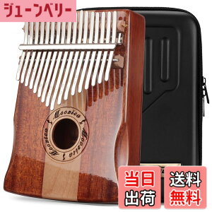 �y���������zMOOZICA 17�L�[ �J�����o K17SD