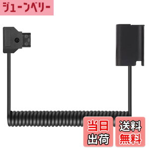 �y���������zRaeisusp D-Tap-DCC12 DMW-BLF19 D-Tap-DCC17 DMW-BLK22 �_�~�[�d�r �d���P�[�u�� LUMIX DMC-GH3 GH4 GH5 GH5II GH5S GH6L DC-S5K S5GK G9