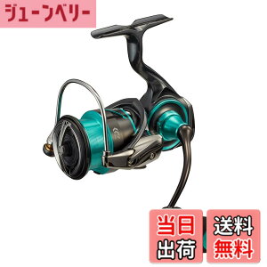 �y���������z�_�C��(DAIWA) 21EMERALDAS AIR LT2500�|xH