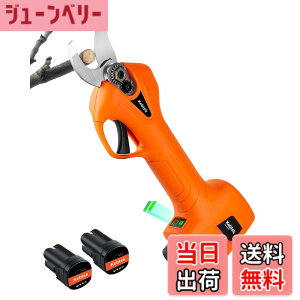 �y���������z�y�y��880g�E10�N���у��f���z�d�C����΂��� Kebtek �R�[�h���X �[�d������΂��� 16.8V �ؒf�a25mm �y�� �d���o�T�~