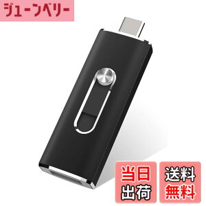 �y���������zRAOYI USB������ 128GB Type C �����]���f�[�^ 2IN1 USB 3.0 �t���b�V���h���C�u