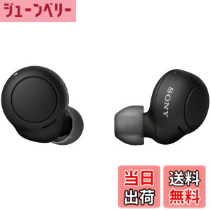 �y���������z�\�j�[(SONY) ���S���C�����X�C���z�� WF-C500 : /�y�ʏ��^5.4g/�����x�ʘb�i��/�ȒP�y�A�����O/IPX4�h�H���\/�u���b�N WF-C500 BZ