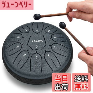�y���������z�X���b�g�h���� �X�`�[���^���O�h���� LEKATO �����h���� 11�� 6�C���` �Ŋy�� �}���b�g ���[�o�b�O�t�� �ґz ���K �T (�l�C�r�[�u���[)