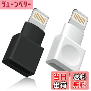 �y���������z���C�g�j���O�����P�[�u�� �A�_�v�^�[ 2�_�p�b�N Apple(�A�b�v��) MFI�F�� iPhone�[�d�� �����P�[�u�� �I�X�^-���X�^ �h�b�N �G�N�X�e���_�[ iPhone 13 12 11 X XS XR 8 7 6 5 iPad�Ή� �I�[�f