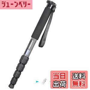 �y���������zINNOREL ��r �J�����p �J�[�{���� 22lbs/10kg�ω׏d 5�Z�N�V�����L�k�\ �R���p�N�g �֗� �y�� ���s�p�iRM285C�j