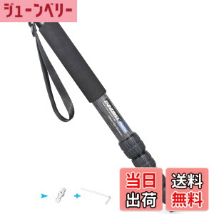 �y���������zINNOREL ��r �J�����p �J�[�{���� 26lb/12kg�ω׏d 5�Z�N�V�����L�k�\ �R���p�N�g �֗� �y�� ���s�p�iRM325C�j