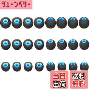 �y���������zA-Pcas �C���[�s�[�X �C���[�`�b�v ���a�_�C����3.8mm-4.5mm�J�i���^�C���z�� �����p Ja�]bra Sport Pace�pSO-NY�p wi-c310�p mdr�V���[�Y�J�i���^�C���z���p xba�V���[�Y�J�i���^�C���z���p 2