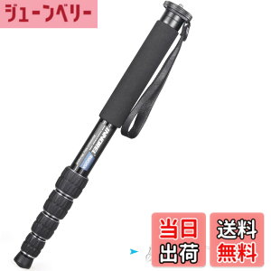 �y���������zINNOREL ��r �J�����p �R���p�N�g��r �A���~��r 12KG�ω׏d 5�i�L�k �g���x��/�쒹�B��/�����/�X�|�[�c�C�x���g�ɑΉ� ���s��r RM325A