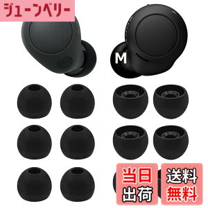 �y���������zA-Pcas �C���[�s�[�X Sony�p�C���[�s�[�X WF-C700n�p�C���[�s�[�X WF-C500 �p WF-1000XM4�p WF-1000XM3�p ���K �t�B�b�g�� ���������� ���K ���􂢉\ �V���R���� �y�u���b�N M�T�C�Y 6�y�A�z(