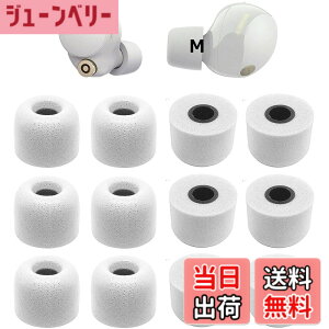 �y���������zWF�]1000XM5�p �C���[�s�[�X Sony�p�m�C�Y�L�����Z���ᔽ���C���[�s�[�X 1000xm4�p WF-C700n�p WI�V���[�Y�C���z���p WF�V���[�Y�C���z���p �|���E���^���t�H�[���f�� XM5�p �yM�T�C�Y 6