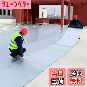 �y���������zTINYMATCH �h���V�[�g ���� ��C�V�[�g 100cm*10m �ȒP�{�H �h���e�[�v ������ ���R���C�e�[�v ���R��h�~�e�[�v �R���N���[�g �x�����_ ���� ��C�� �g�^�������̏C�� �J�R���C