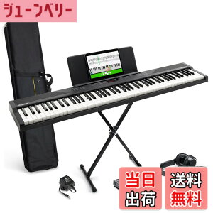 �y���������zAlesis �d�q�s�A�m 88���� Recital Play & Recital Black �F�F�A�N�Z�T���[�t���A�u���b�N�A�T�C�Y�F�A�N�Z�T���[�t��