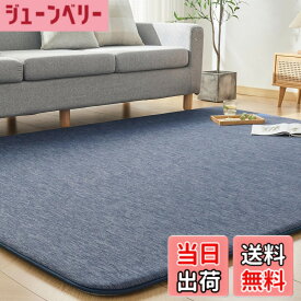 【送料無料】VK Ingeroom カーペット 夏用 極厚30mm 冷感ラグ 厚手 接触冷感 【ひんやりxもっちり】 涼しい 色：ネイビー、サイズ：190x190cm