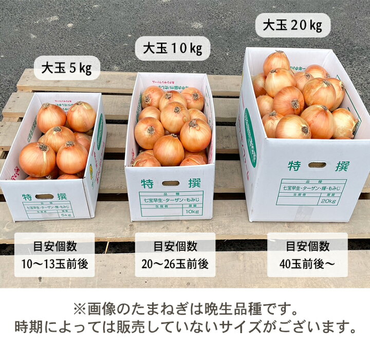 楽天市場】【月間優良ショップ受賞店】 【収穫次第発送】新たまねぎ 