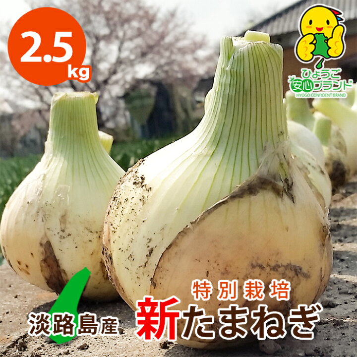 楽天市場 2 5キロ 新たまねぎ 特別栽培 有機肥料使用 令和4年産 数量限定 新タマネギ 新玉ねぎ たまねぎ タマネギ 淡路島たまねぎ 淡路島産玉ねぎ お取り寄せ 淡路島 ひょうご安心ブランド 兵庫県認証食品 お料理好きな方へご贈答用に 甘くて美味しいタマネギを産地直送