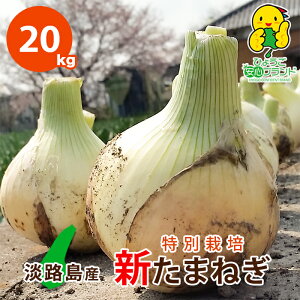 きのこ お取り寄せ 玉ねぎの人気商品 通販 価格比較 価格 Com