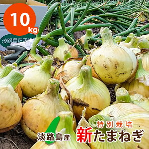 有機肥料 肥料 玉ねぎの人気商品 通販 価格比較 価格 Com 有機肥料 肥料 玉ねぎの人気商品 通販 価格比較 価格 Com