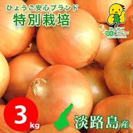 島の宝 たまねぎ 【月間優良ショップ受賞店】 特別栽培 玉ねぎ ギフト 淡路島 あさひサンファーム 3キロ …