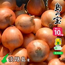 ＼全品ポイント10倍！9月13日12:59まで／【月間優良ショップ受賞...