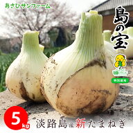 クーポン利用で10%OFF！4月17日まで【月間優良ショップ受賞店】 島の宝 【新たまねぎ】 収穫次第ご購入順…