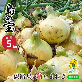 【月間優良ショップ受賞店】 【7日以内に発送】 新たまねぎ 大玉 5キロ 送料無料 新玉ねぎ 淡路島 淡路島産 玉ねぎ 箱 買い 淡路島たまねぎ 淡路 新タマネギ たまねぎ 兵庫県 お取り寄せ 数量限定 お料理好きな方へ 甘くて美味しいタマネギを産地直送 野菜 玉葱通販