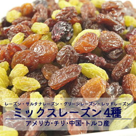 ミックスレーズン 40g 1kg 2kg(1kg×2袋) 5kg(1kg×5袋) アメリカ産 トルコ産 中国産 チリ産 【送料無料】4種類のレーズン( レーズン サルタナレーズン グリーンレーズン レッドレーズン ) ※ドライフルーツ レーズン 干しぶどう 業務用 大容量