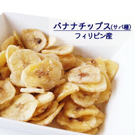 バナナチップス サバ種 1kg 2kg(1kg×2袋) 5kg(1kg×5袋) フィリピン産 【送料無料】※健康 美容 チップス おやつ おつまみ 間食 朝食 製菓 製パン 業務用 大容量