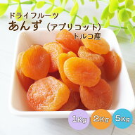 干しあんず ドライアプリコット 1kg 2kg(1kg×2袋) 5kg(1kg×5袋)トルコ産 ※ドライフルーツ 干しあんず …